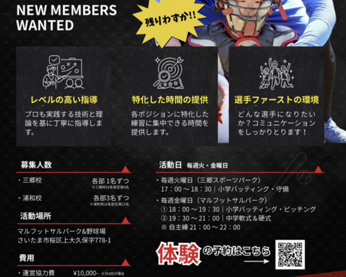 ポニーチラシ