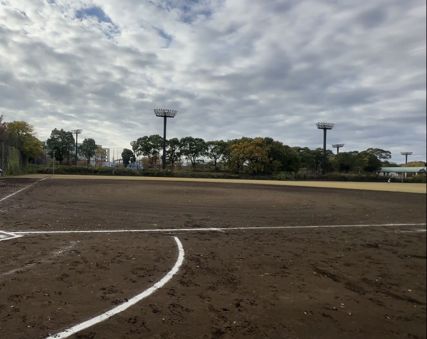 大井