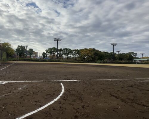 大井